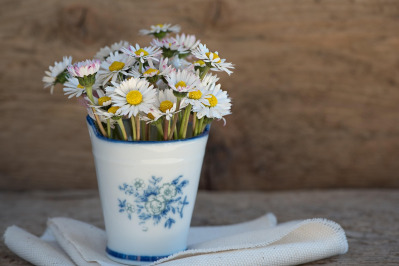 ceramic vase minimal